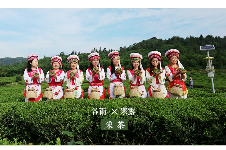 張家界林豐茶葉開(kāi)發(fā)有限公司,張家界茶葉開(kāi)發(fā),茶葉種植,桑植白茶加工,帥湘紅銷售